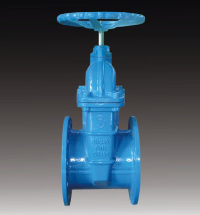 Z45X (RVHX) rising stem resilient seated gate valve